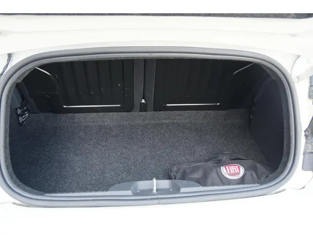 Fiat 500C 0.9 TwinAir Turbo Cult 2015 Benzine 20