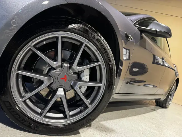 Tesla Model 3 Standard RWD Plus 60 kWh 2022 Elektrisch 10