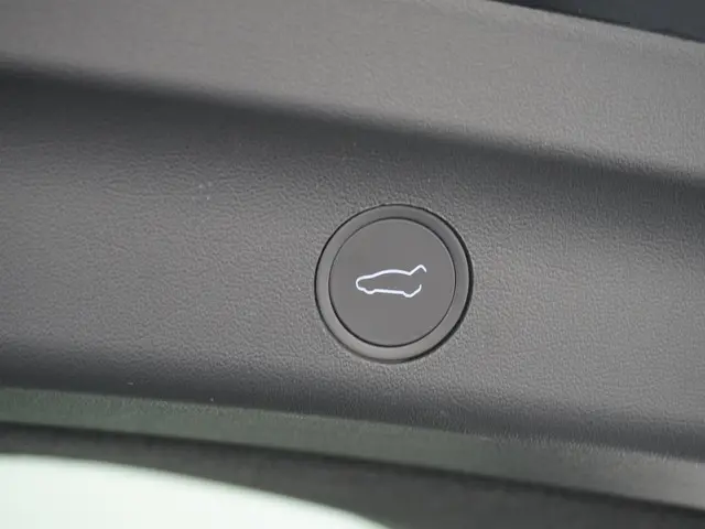 Tesla Model Y Performance AWD 75 kWh 2022 Elektrisch 13