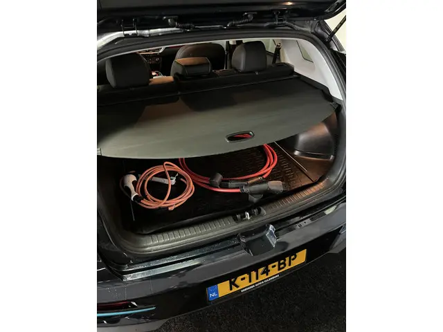 Kia e-Niro ExecutiveLine 64 kWh 2020 Elektrisch 7