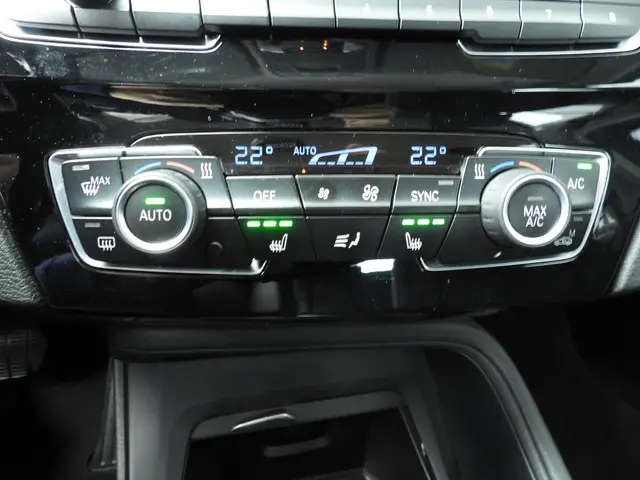 BMW X1 sDrive20i High Executive 2018 Benzine 14