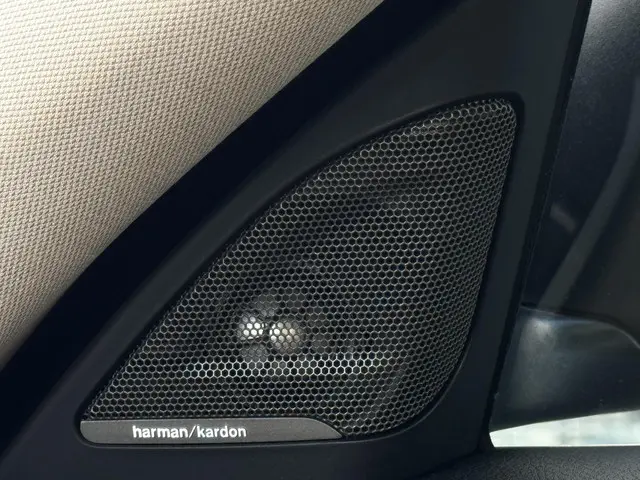 BMW 3 Serie 320i xDrive High Executive 2020 Benzine 6