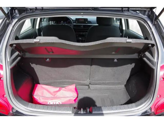 Kia Picanto 1.0 CVVT EconomyPlusLine 2019 Benzine 9