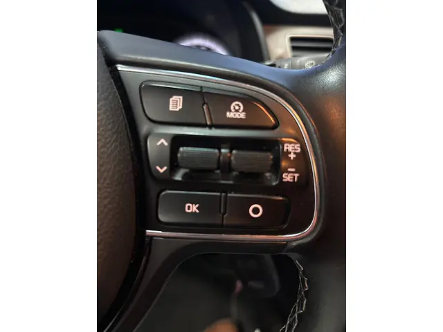 Kia Niro 1.6 GDi Hybrid DynamicLine 2018 Hybride Benzine 18