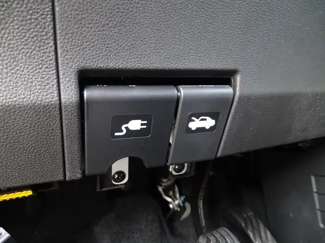 Dacia Spring Extreme 100 24.3 kWh 2026 Elektrisch 35