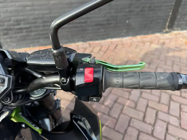 Kawasaki Z900 Naked ABS 2019 Benzine 15