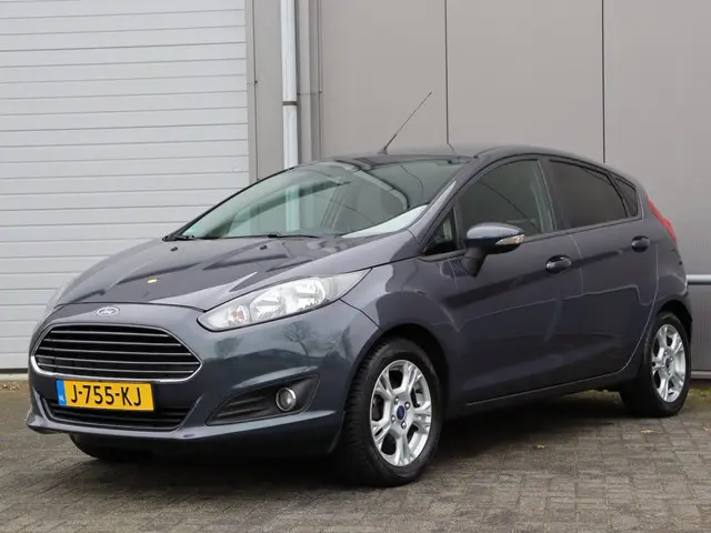 Ford Fiesta 1.0 Titanium airco LM 4-deurs 2014 Benzine 5