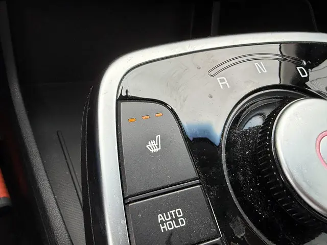 Kia e-Niro Edition 64 kWh 2021 Elektrisch 30