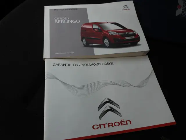 Citroën Berlingo 1.6 BlueHDi 4x4 Dangel 2016 Diesel 16