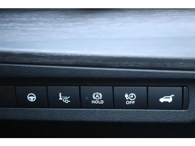 Nissan ARIYA 63 kWh Evolve 2023 Elektrisch 33