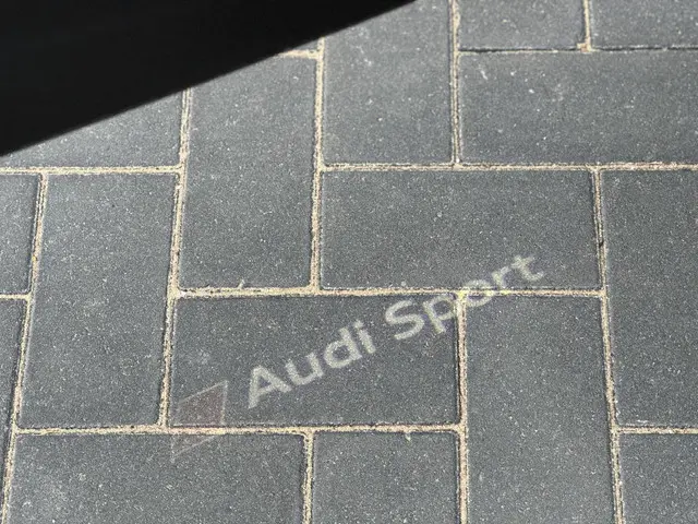 Audi RS4 Avant 2.9 TFSI quattro 2018 Benzine 14