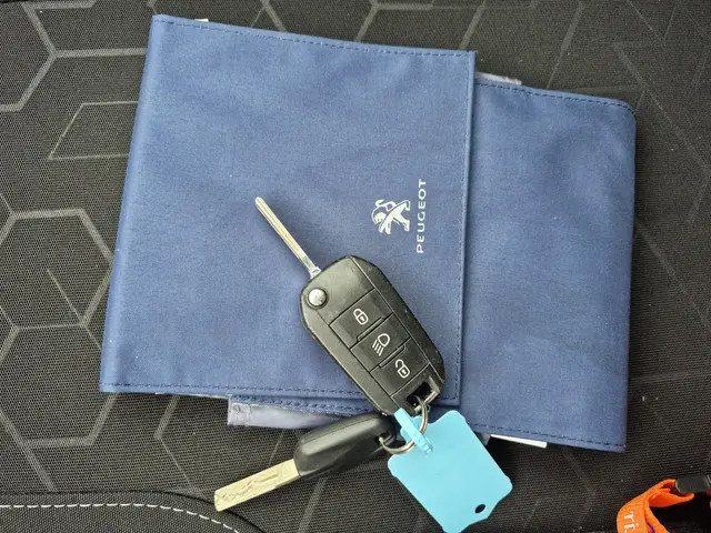 Peugeot 2008 1.2 PureTech Blue Lion 2018 Benzine 25