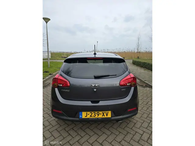Kia pro_cee'd 1.6 CRDi Nieuwe APK 2015 Diesel 6