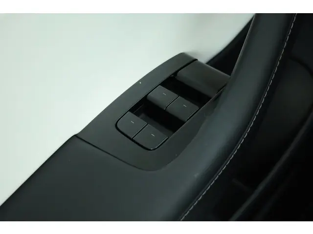 Tesla Model 3 Performance AWD 75 kWh 2019 Elektrisch 27