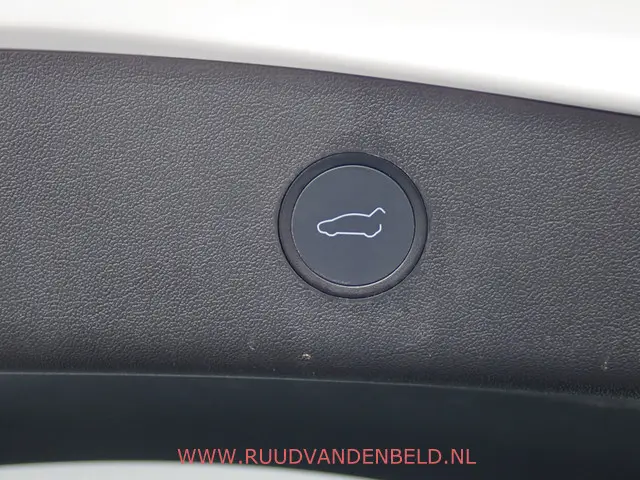 Tesla Model 3 Performance AWD 75 kWh 2021 Elektrisch 29