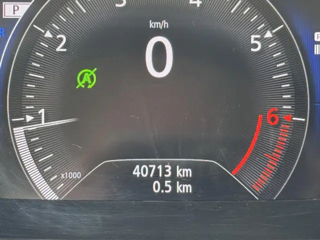 Renault Kadjar 1.3 TCe Intens 2021 Benzine 8