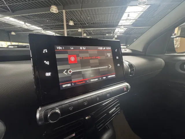 Citroën C4 Cactus 1.2 PureTech Business 2019 Benzine 19