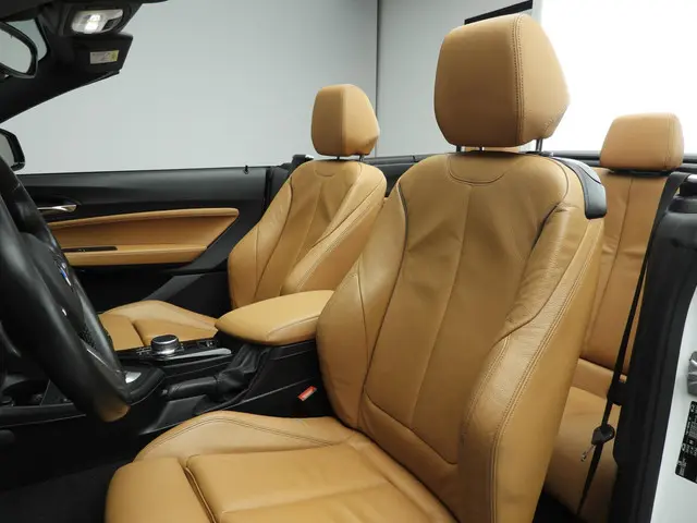 BMW 2 Serie Cabrio 220i 2018 Benzine 9