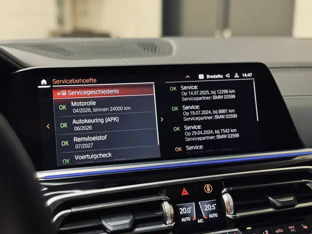 BMW X6 xDrive40i High Executive M-Sport 2020 Benzine 19