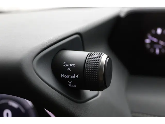 Lexus UX 250h Preference Line 2021 Hybride Benzine 39