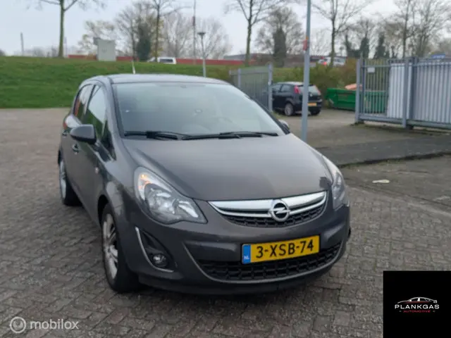 Opel Corsa 1.2-16V Design Edition 2014 LPG/Gas 3
