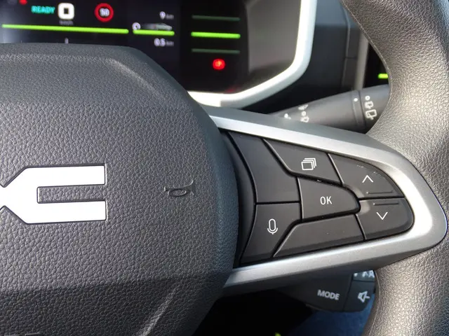 Dacia Spring Extreme 100 24.3 kWh 2026 Elektrisch 25