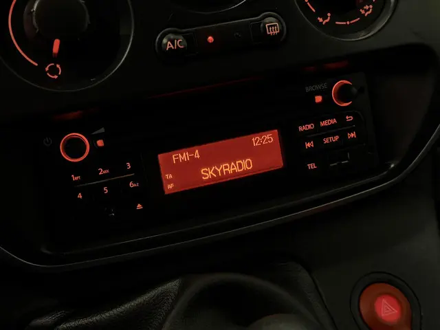 Renault Kangoo 1.5 Blue dCi 95 Work Edition 2020 Diesel 12