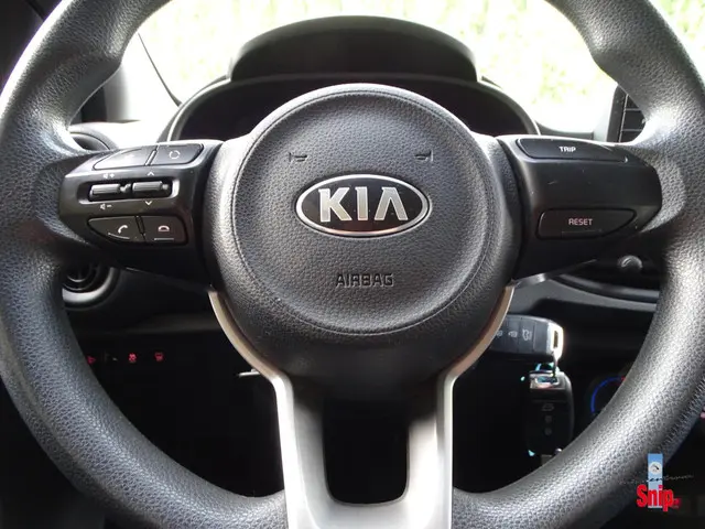 Kia Picanto 1.0 CVVT EconomyPlusLine 2019 Benzine 14