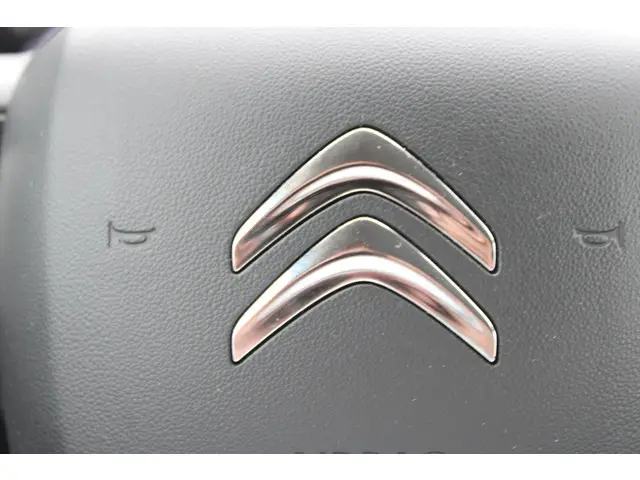 Citroën C3 1.2 PureTech S&S Shine 2020 Benzine 25