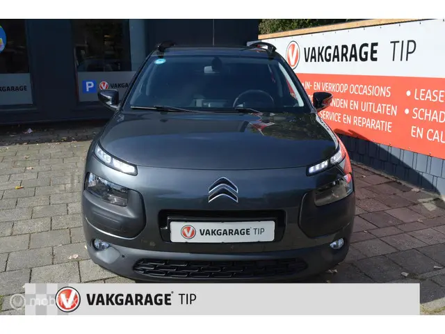 Citroën C4 Cactus 3