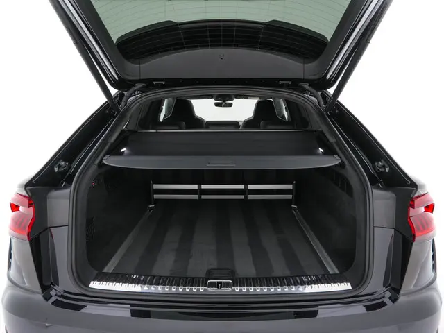 Audi RSQ8 4.0 TFSI Quattro 2021 Benzine 11