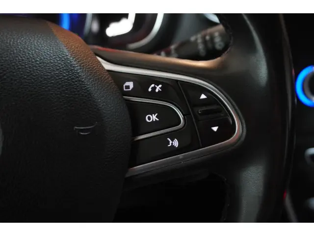 Renault Grand Scénic 1.3 TCe Limited 7p. 2020 Benzine 14