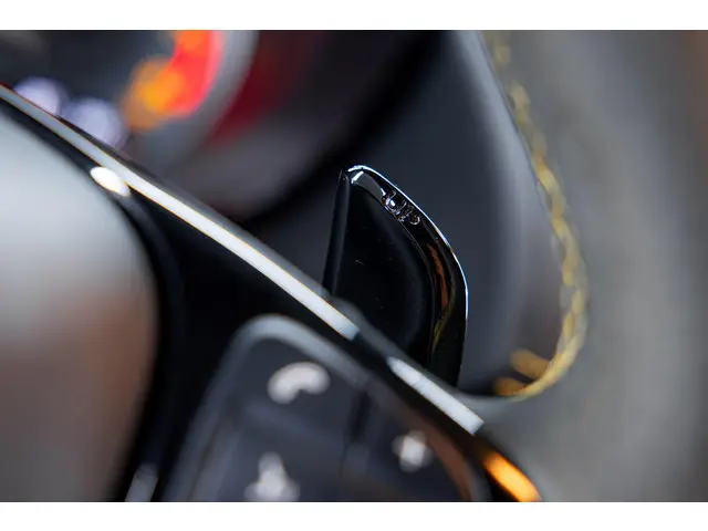 Mercedes-Benz AMG GT 4.0 R 2019 Benzine 25