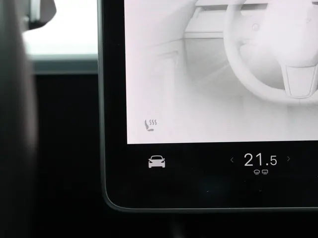 Tesla Model 3 Performance AWD 75 kWh 2019 Elektrisch 9