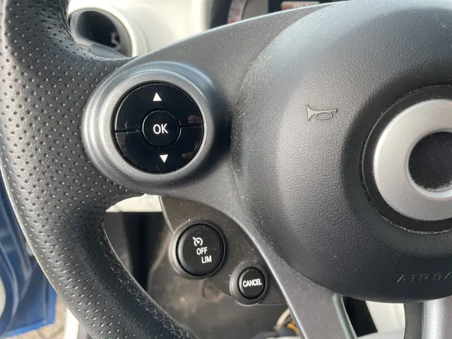 Smart Forfour 1.0 Proxy 2015 Benzine 12