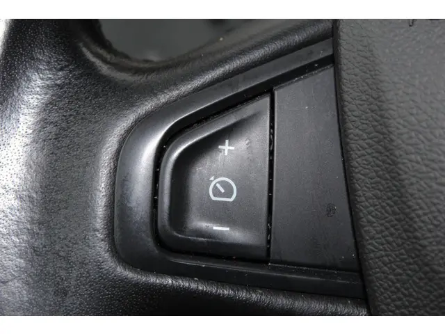 Renault Kangoo Family 1.2 TCe AUTOMAAT 2017 Benzine 30