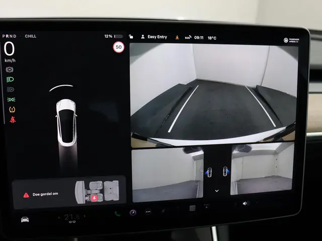 Tesla Model 3 Standard RWD Plus 60 kWh 2020 Elektrisch 12