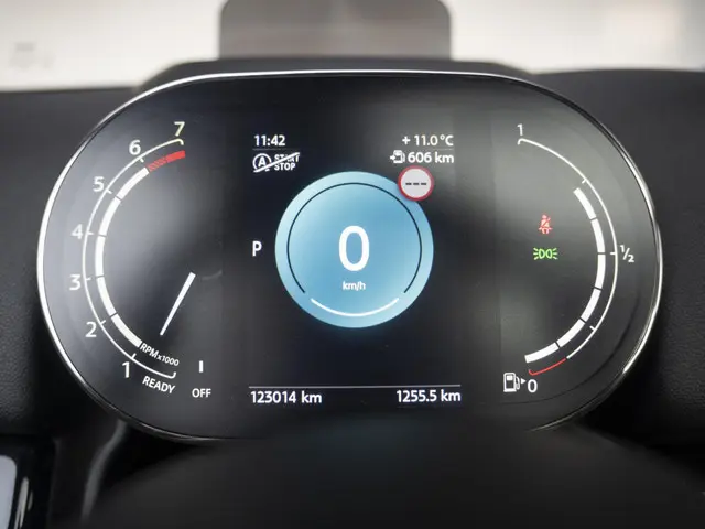 MINI Countryman Cooper S Aut. 2021 Benzine 25