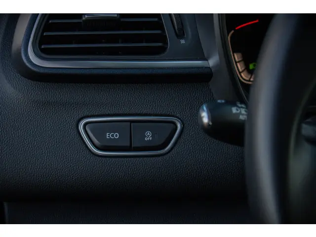 Renault Kadjar TCe 160 EDC Intens 2020 Benzine 13