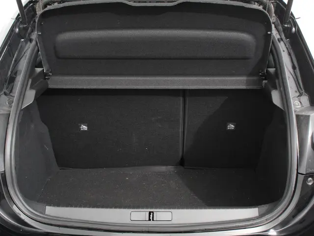 Opel Corsa 1.2 100pk Turbo Elegance Sky 2024 Benzine 33