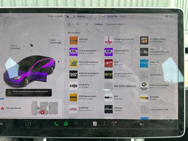 Tesla Model 3 Standard RWD Plus 60 kWh 2019 Elektrisch 12