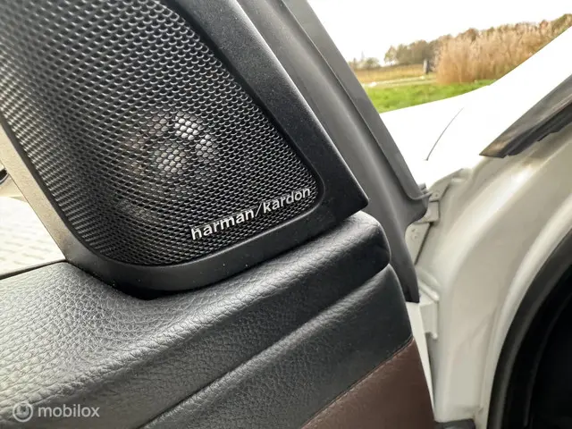 BMW 3 Serie Cabrio 335i High Executive 2013 Benzine 23