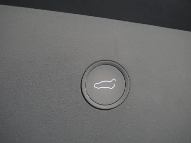 Tesla Model X Long Range 100Kwh 2020 Elektrisch 13