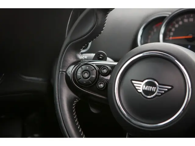 MINI Countryman Mini 2.0 Cooper S | Pano | Memory | 2019 Benzine 8