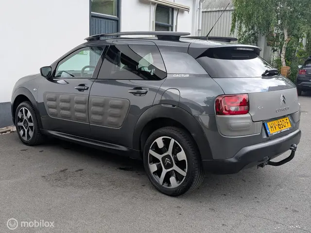 Citroën C4 Cactus 1.2 PureTech Business Plus 2016 Benzine 6