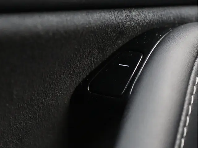 Tesla Model 3 Standard RWD Plus 60 kWh 2019 Elektrisch 29