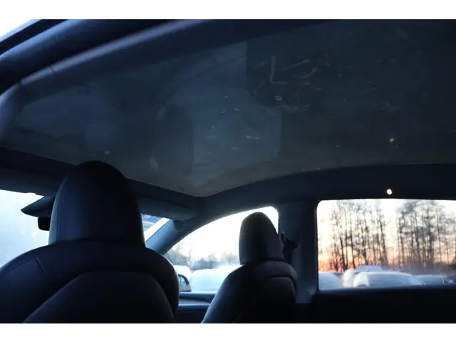 Tesla Model Y Long Range RWD 75 kWh 2024 Elektrisch 21