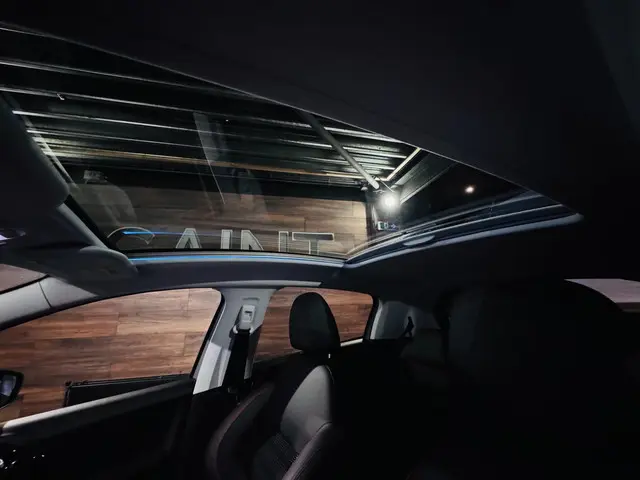 Peugeot 208 1.2 PureTech GT-Line 2019 Benzine 44