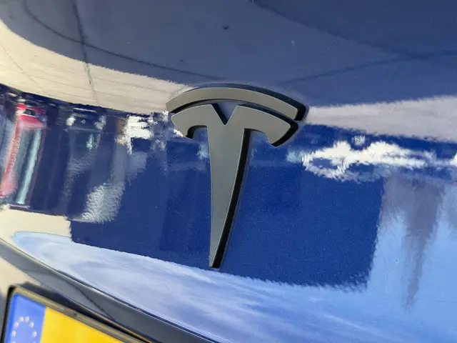 Tesla Model 3 Long Range AWD 75 kWh 2021 Elektrisch 47