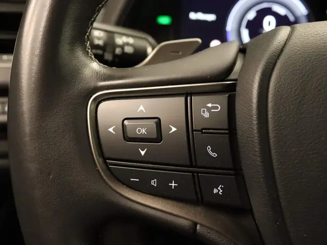 Lexus UX 300e Business 54 kWh 2020 Elektrisch 22